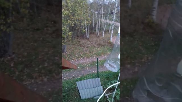 Как сделать интернет в лесу (2) Вай-фай из бутылки смотреть онлайн