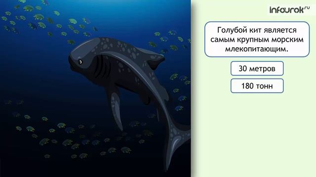 Единицы массы. Тонна. Центнер смотреть онлайн