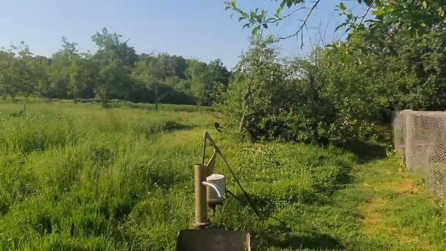 ДОМ НА ЮГЕ/64 СОТКИ, В КОНЦЕ УЧАСТКА ПРУД смотреть онлайн