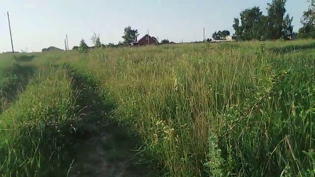 Перспективы ДОХОДА С ЛПХ В СЕЛЕ БЛИЖАЙШИЕ 3 ГОДА // С.Х.У смотреть онлайн