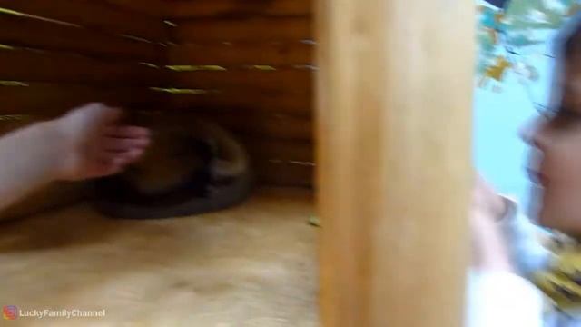 САМЫЙ БОЛЬШОЙ КОНТАКТНЫЙ ЗООПАРК В МОСКВЕ смотреть онлайн