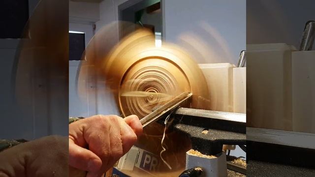 Die Exzentrische Schiffsdose смотреть онлайн