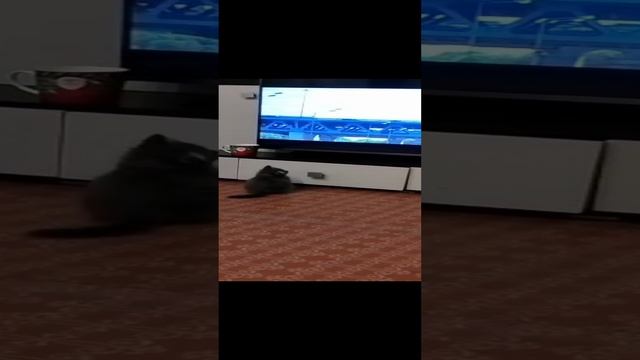 так не мешайте смотреть, очень интересный фильм смотреть онлайн