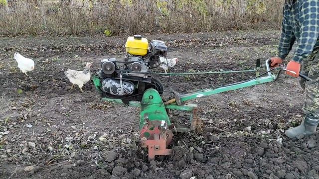 УХОД ЗА РЕМОНТАНТНОЙ МАЛИНОЙ САМОДЕЛЬНЫМ МОТОБЛОКОМ смотреть онлайн