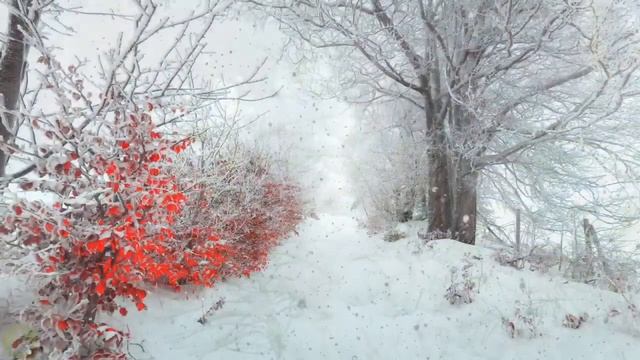 Первый снег (стихи Нины Воронель) смотреть онлайн