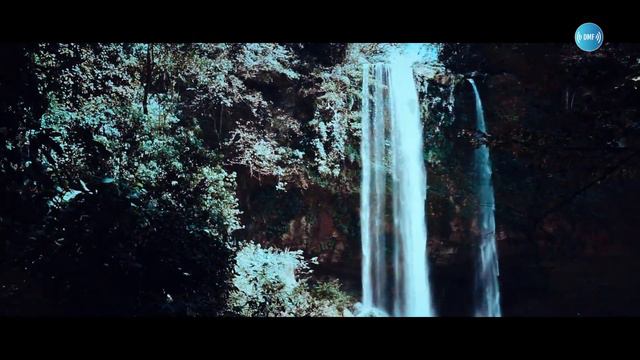 INSIDE THE JUNGLE CINEMATIC 🐆🎬DMF 🎧 🐒 🌳🍃 | (No Copyright Music) смотреть онлайн