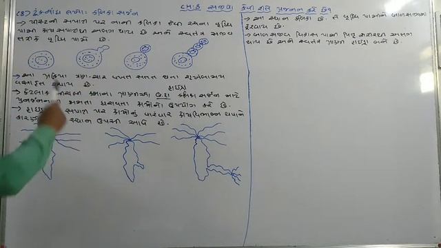 Std 10 Science Ch 8 Part 4 смотреть онлайн