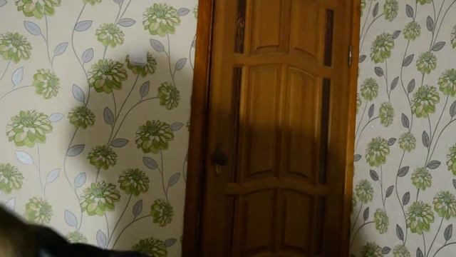 Идея для фото || Оттенки чёрного смотреть онлайн