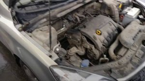 Громкая работа двигателя и стук фаз ГРМ распредвалов Kia Ceed — осмотр для клиента #OMGauto | Автоп