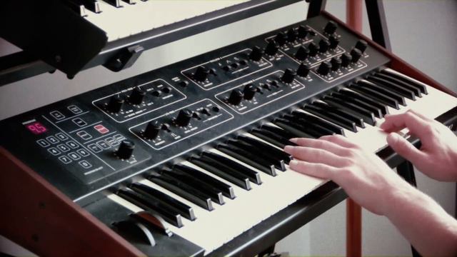 Sequential Prophet 600 beauty polymod смотреть онлайн
