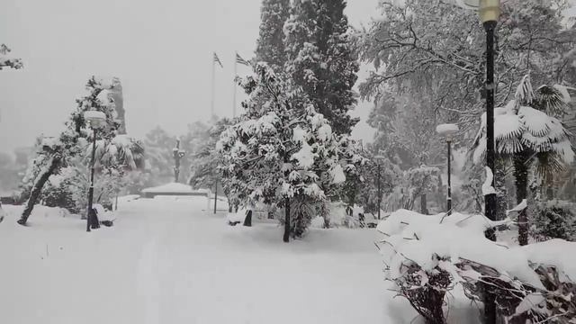 Abkhazia/Sukhum - 15.02.2017 смотреть онлайн