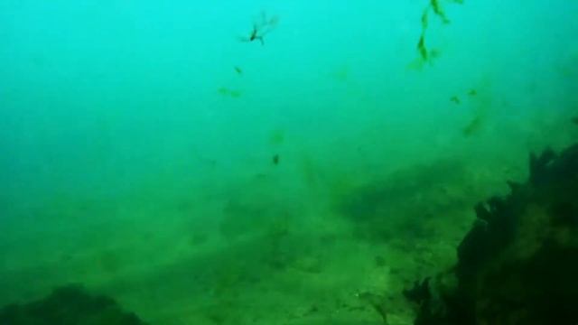 ПОДВОДНАЯ СЪЁМКА в Черном море на экшн камеру SJCAM M10+ смотреть онлайн
