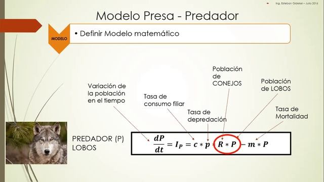 CLASE 16-06-20 . INV.OPER. PARTE 1 смотреть онлайн
