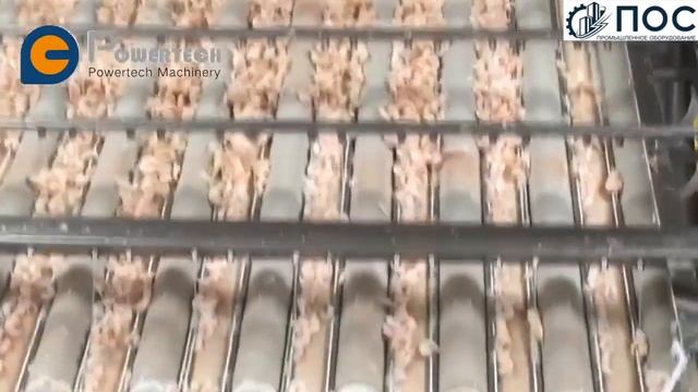 Система для переработки морских креветок и вареных креветок смотреть онлайн