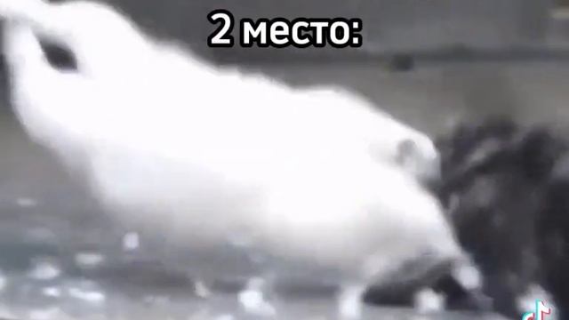 ??? смотреть онлайн