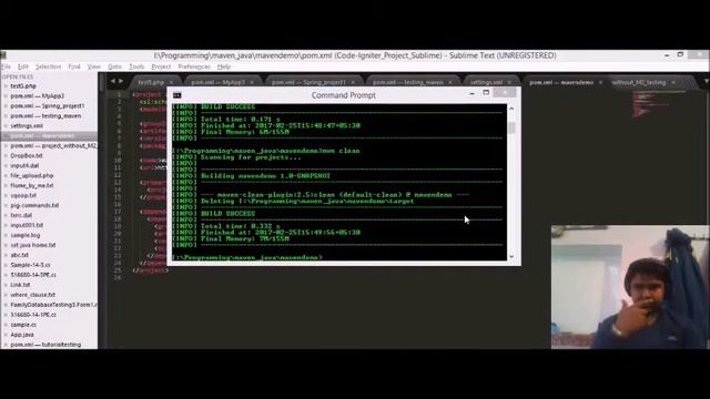 4 Maven Build and Clean Life Cycles смотреть онлайн