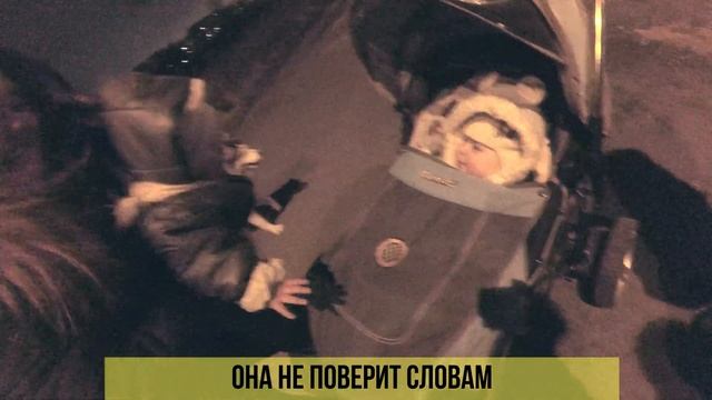 Доверие. Как научить и научиться доверять своей собаке. смотреть онлайн