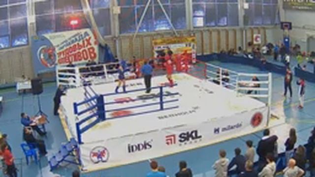 Арена ТВ смотреть онлайн