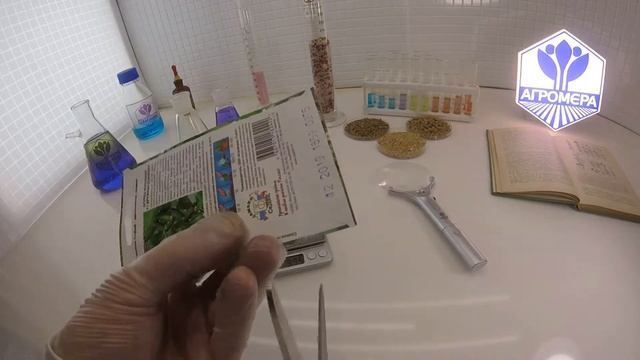 Огурец корнишон Дружная Семейка F1. СеДеК смотреть онлайн