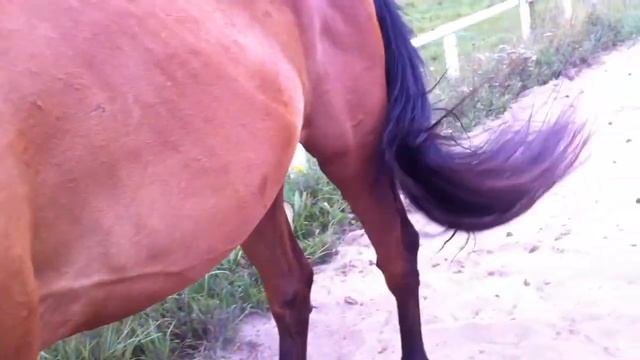 Аканто. Песочные ванны! смотреть онлайн