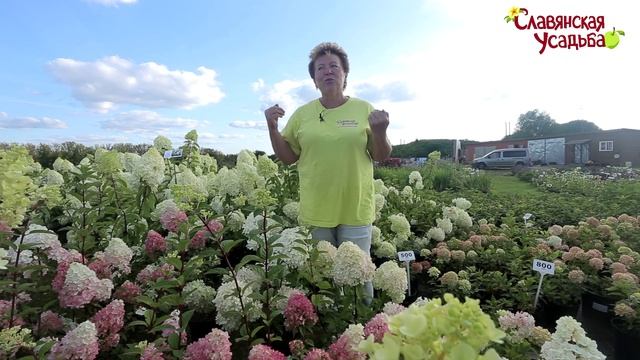 славянская усадьба смотреть онлайн
