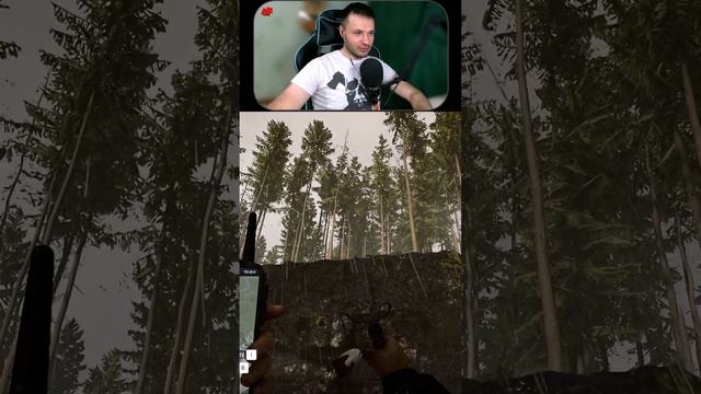 Сначала не поверил Jotyx'у ► Sons of the Forest ► КООП стрим смотреть онлайн