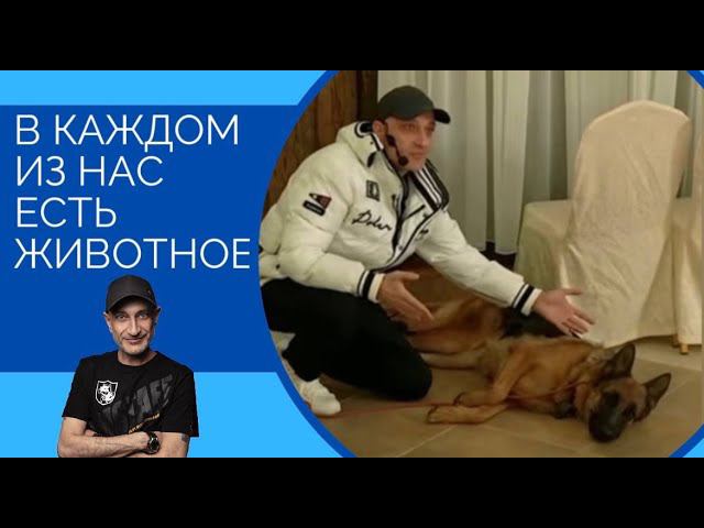 В каждом из нас есть животное смотреть онлайн