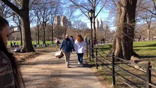 Прогулка по центральному парку Нью Орк смотреть онлайн