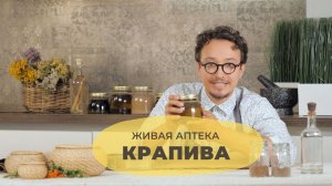 Крапива // Живая аптека