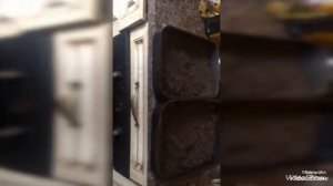 Как подготовить почву для посадки рассады.