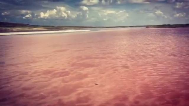 Розовое мертвое море ( Херсонська обл ) смотреть онлайн