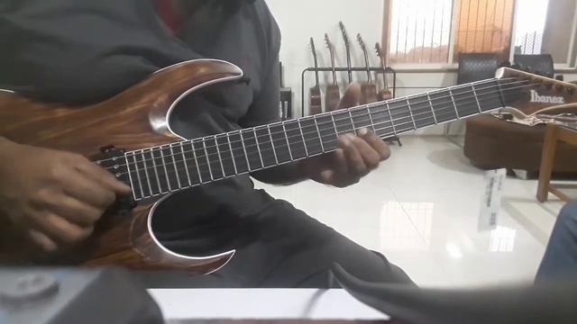 Guitar ballad - Playing an Ibanez Iron Label series guitar смотреть онлайн