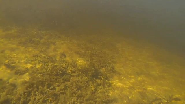подводная охота смотреть онлайн