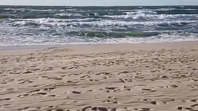 Эвтрофикация Балтийского моря смотреть онлайн
