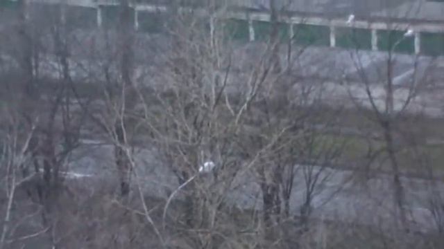 Выпал снег в Москве 14 ноября 2013 года смотреть онлайн