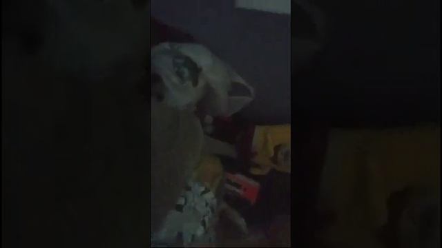 Будем Смотреть Мой Дом смотреть онлайн