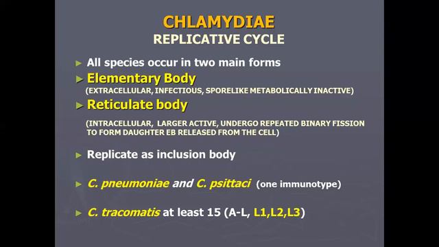 Chlamydia By Dr Sajid Class 3rd Year смотреть онлайн