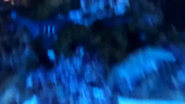 Зоомагазин "Флора и фауна" #Город_Ноябрьск_ЯНАО смотреть онлайн