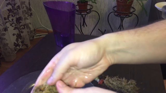 Меняем способ наращивания корней. Орхидея теперь на блоке смотреть онлайн