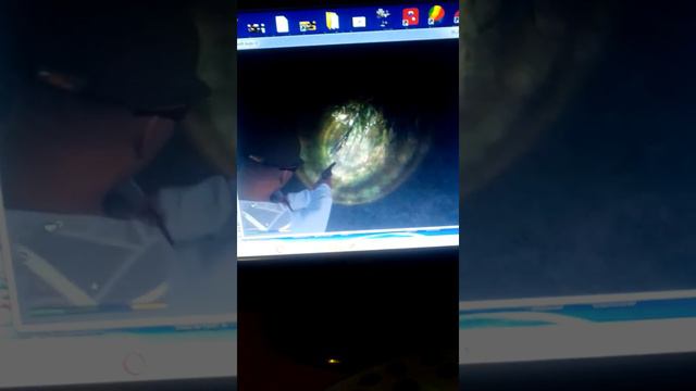 лофофора в гта 5 смотреть онлайн