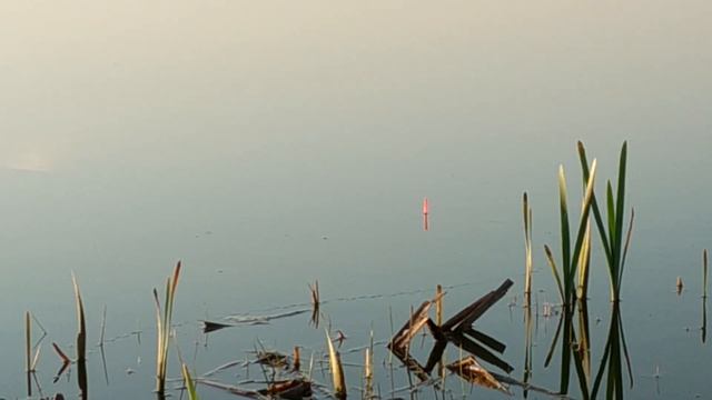 Самое уловистое тесто по холодной воде, клюёт рыба всю осенью и зимой смотреть онлайн