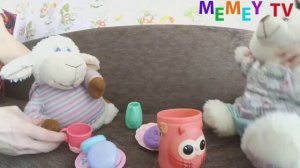 Мишка Напился чаю и стал нюхать ноги - Смешное видео