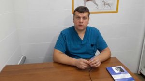 ЧТО ДЕЛАТЬ ЕСЛИ ВАШ ПИТОМЕЦ ТРЯСЕТ УШАМИ?