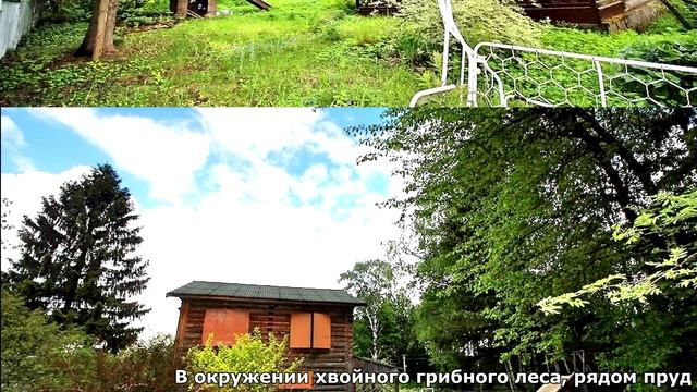 Восхитительная дача в окружении смешанного леса по Ярославскому шоссе смотреть онлайн