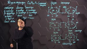 Дисахариды. Сахароза. 11 класс.