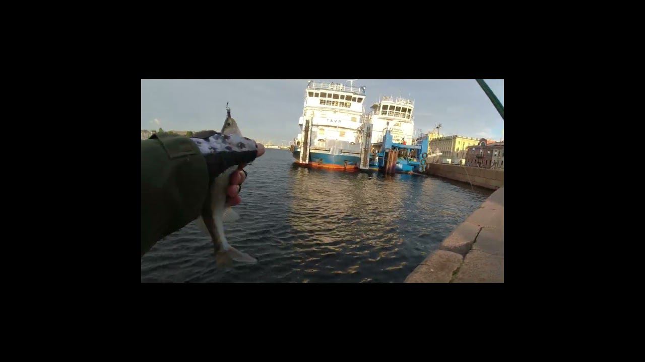 Судачок смотреть онлайн