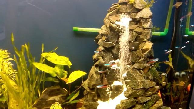 VID 20150421 144331 смотреть онлайн
