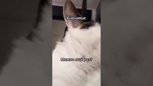 трудобудни преподавателя танцев) у кого так же? ставьте ? смотреть онлайн
