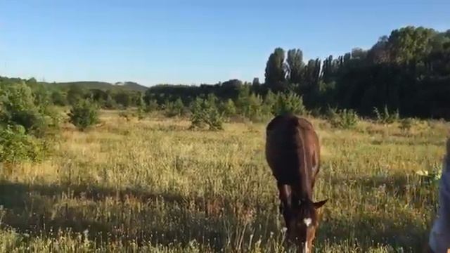 Приглашаем посетить горный Крым, Белогорский район, эко-комплекс Бурульча смотреть онлайн