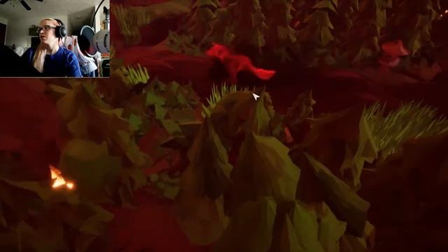 Owl Puns? I see what you did there | Owl Watch смотреть онлайн